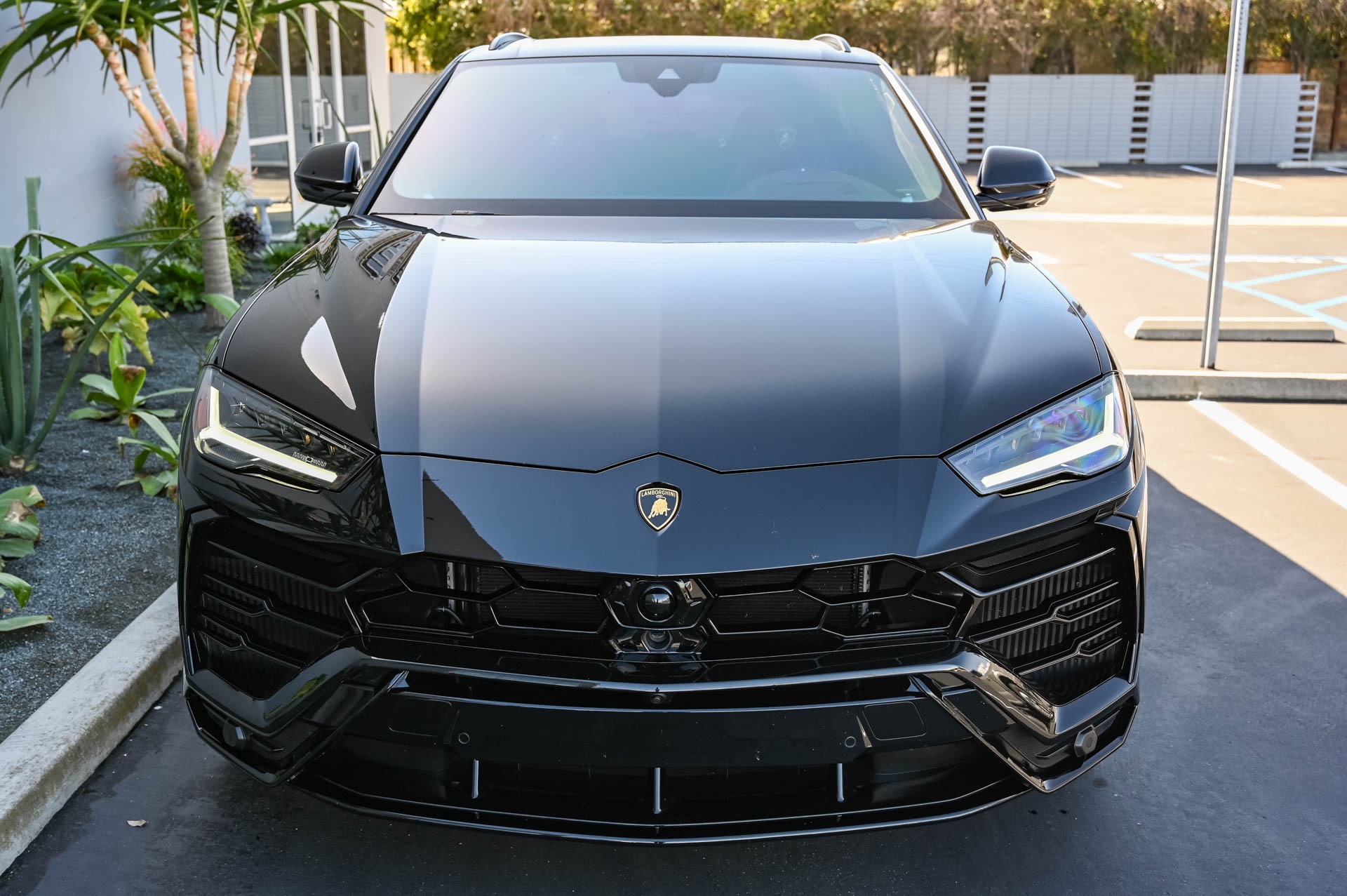 Used 2019 Lamborghini Urus For Sale (Sold) | iLusso Stock #A02757